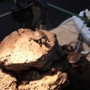 아쿠아가든카페 양재점 이미지