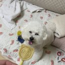 폴리파크 양주점 이미지