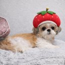 달구약국 | 애보의 하루/일상