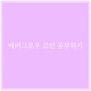 에버그로우 EGC 코인 BUSD REFLECTION - 돈 파쇄후기