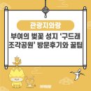 구드래관광지 | 부여의 벚꽃 성지 ‘구드래 조각공원’ 방문 후기와 꿀팁