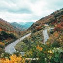 벨로페이퍼 - 18525 | 벨로페이퍼