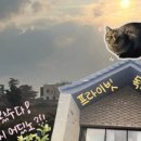 머쉬멜로우민박 이미지