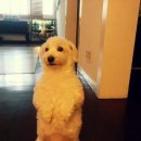 석진이네 이미지