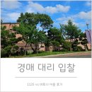 1125 | 경매 대리입찰 - 바토너 vs 1125 실제 이용 비교 후기
