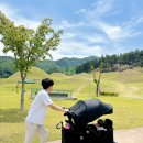 소꽃노리 | 성주여행:) 쌍둥이네 가족 선상동 고분군 전시관 + 실내놀이터 당일 나들이 후기!
