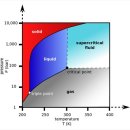 커피캐스트 이미지