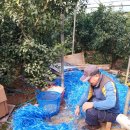 정인농장 이미지