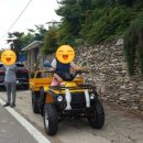 씨에이치팜 네이버블로그