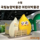 청솔마을 경로식당 | [제목] 수원 국립농업박물관 어린이박물관 완벽정복! 영역별 상세후기부터 식당/곤충관 꿀팁까지