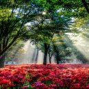 산호동532 이미지