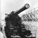 도라(Dora) 이미지