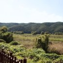 경충대로 2709번길 5 이미지