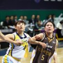 와동체육관 이미지