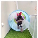 부산진유치원 이미지