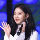 예인 이미지