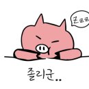 공차내포 이미지
