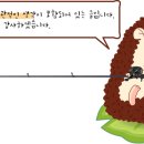 바낙스대호