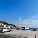 동호동 수협 앞 이미지