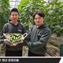 (주)참기획