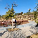 정남진테마숲 이미지