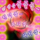 무무산방 | 제 23회 국제차문화대전 (2026) 첫째날
