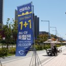 태극안경콘택트(세종대평점) 이미지