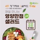 샐러드 티스토리