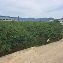 고모리부동산공인중개사사무소 이미지