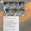 레오메디칼 이미지