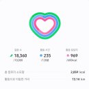 네일단아