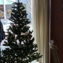 쿠키샤워 | [신부동] 버터집 두바이 쫀득쿠키 모찌뿌요, 피쵸샤워, 순둥이 피쵸 후기