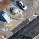 연기면사무소화장실 | 세종 합강캠핑장 재개장, 2가족 3만원 가성비캠핑