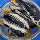 삼천포수산 이미지