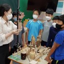 상촌초등학교 이미지