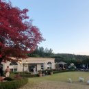 여주-1102 이미지