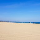 늘푸름홍천한우프라자 이미지