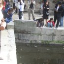 물과물고기 이미지