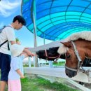 영천참품한우 이미지