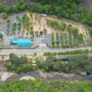 원두막캠프 이미지