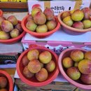 남흥장여관 이미지