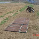 화창농원 이미지