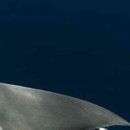 공감대 | 임신중절수술 후기, 회복기간 별 실제 증상 이렇게 다릅니다