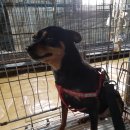 통영시청 제2청사 이미지