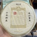 본산 Daum카페