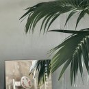 라온커피로스터스