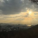 코모레비 이미지