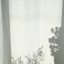 송스살롱