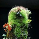 바다네 펜션 이미지