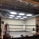 에이블 복싱GYM 네이버블로그